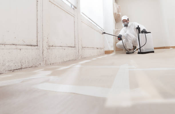 24/7 Emergency Attic Mold Removal experts in Bellmawr, NJ